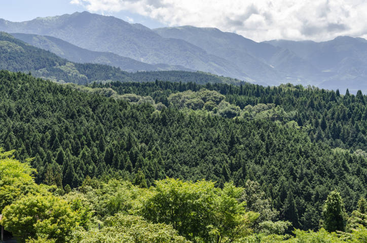 308 - Ruta Nakasendo - Magome-Tsumago - paisaje